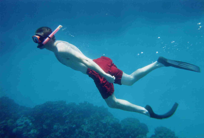 Under Water Activities