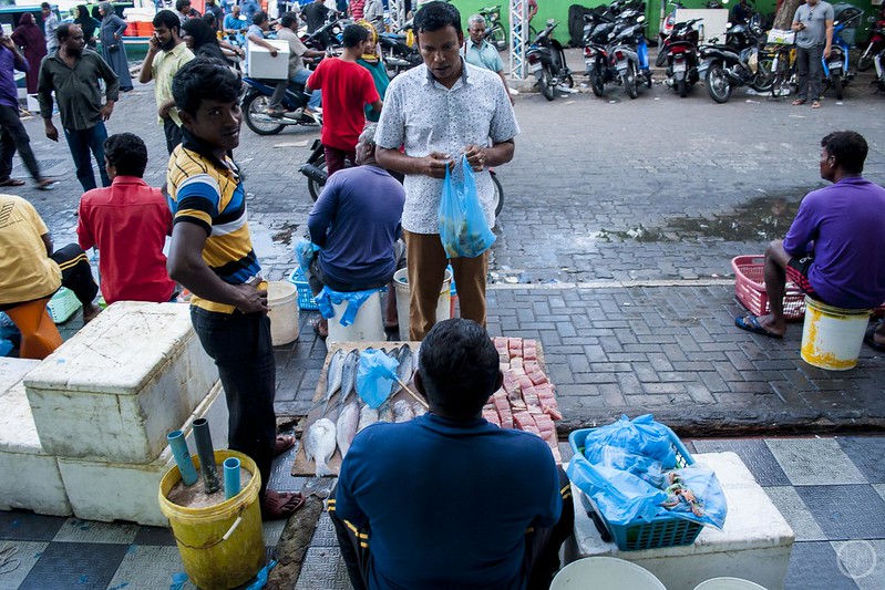 Male Fish Market