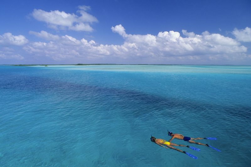 Snorkeling Adventure