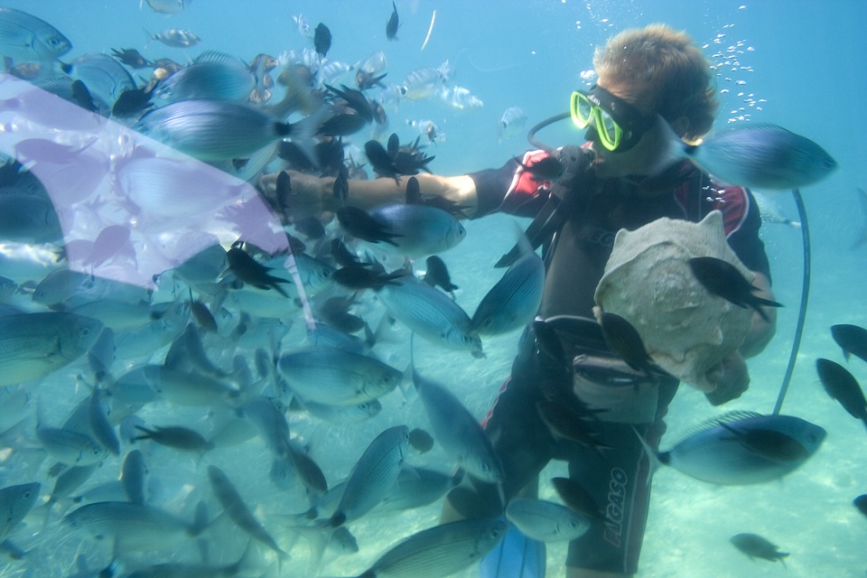 Snorkelling
