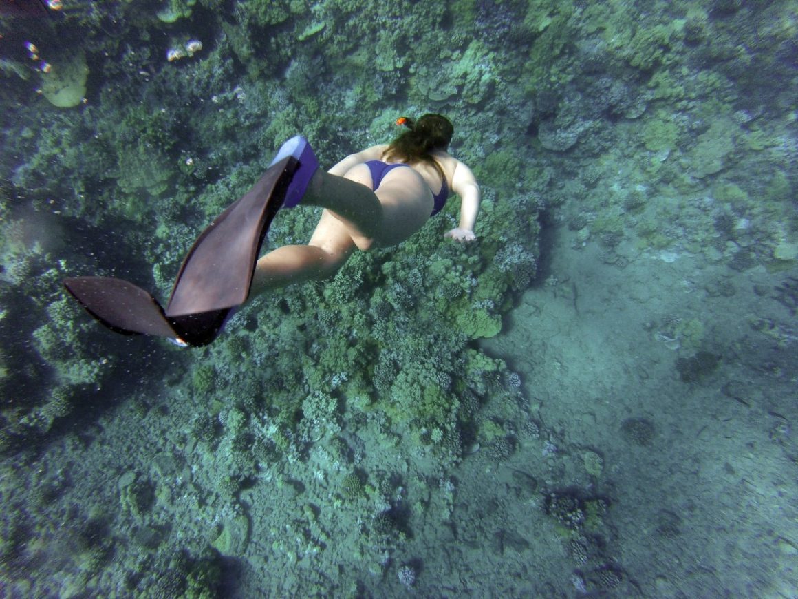 Snorkelling
