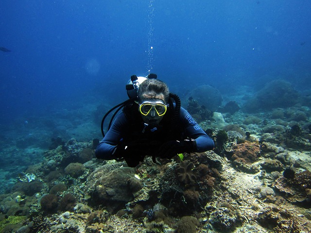 Scuba diving