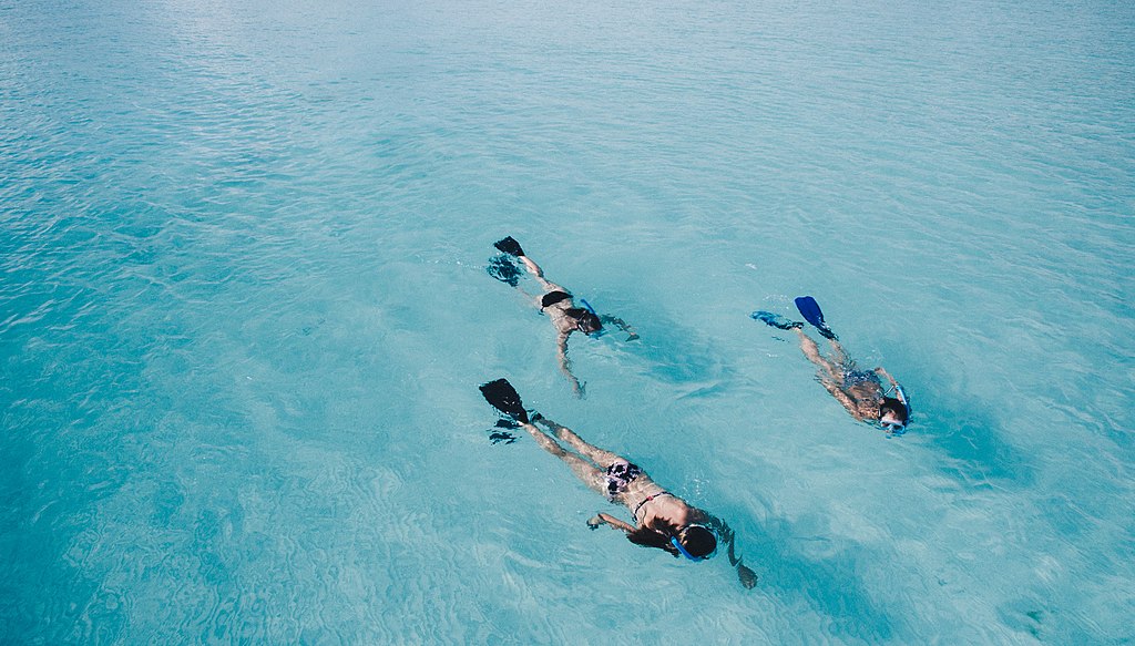 maldives snorkelling