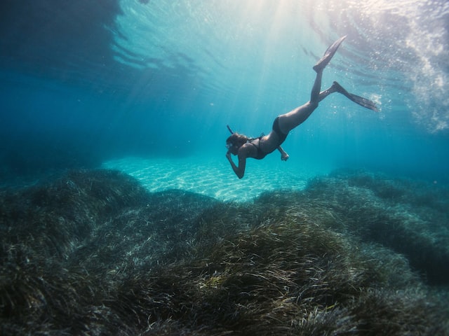 snorkelling