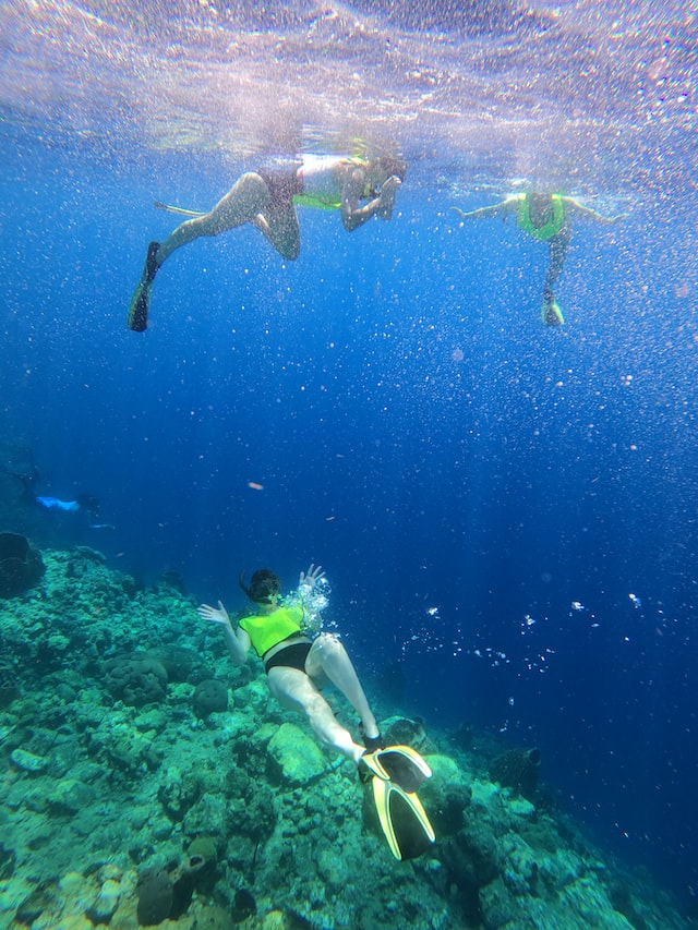 Snorkelling & Diving