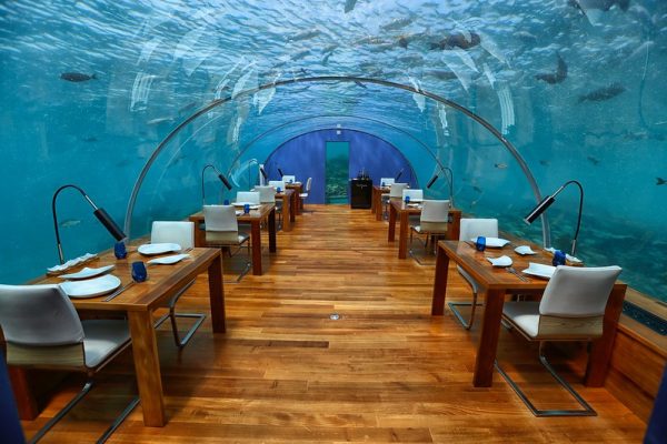 Maldives underwater restaurant 25