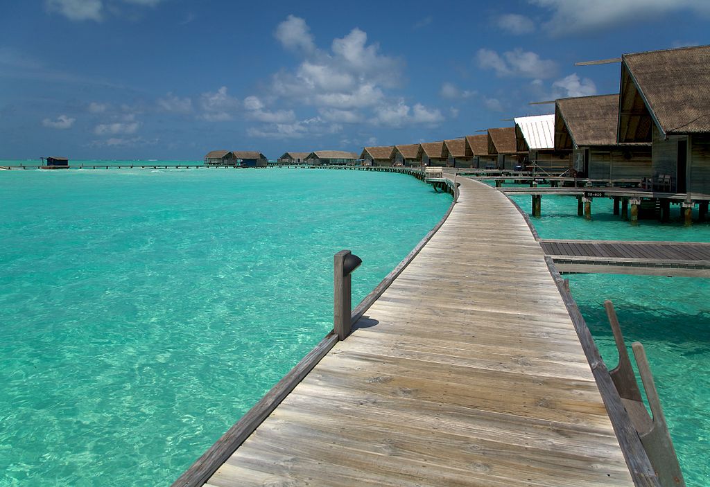 1024px-Cocoa_Island_(Maldives)-39