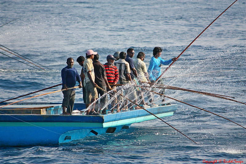 Fishing 