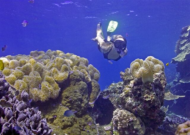 Diving