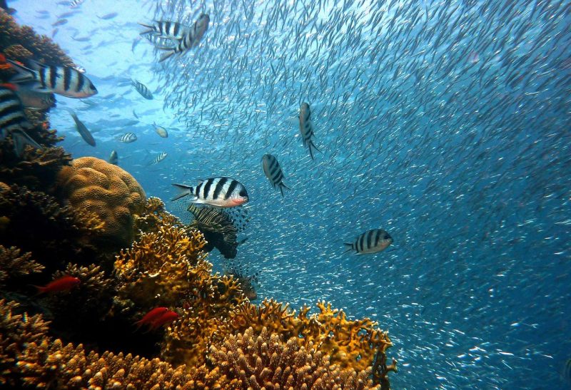 Under Water