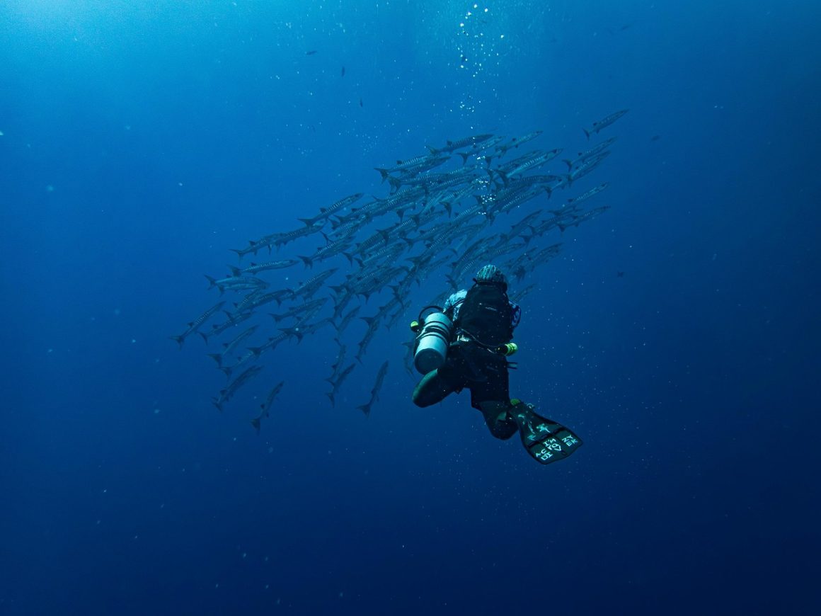 diving