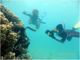 Scuba Diving Maldives