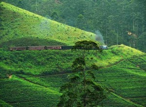 train_hill_country