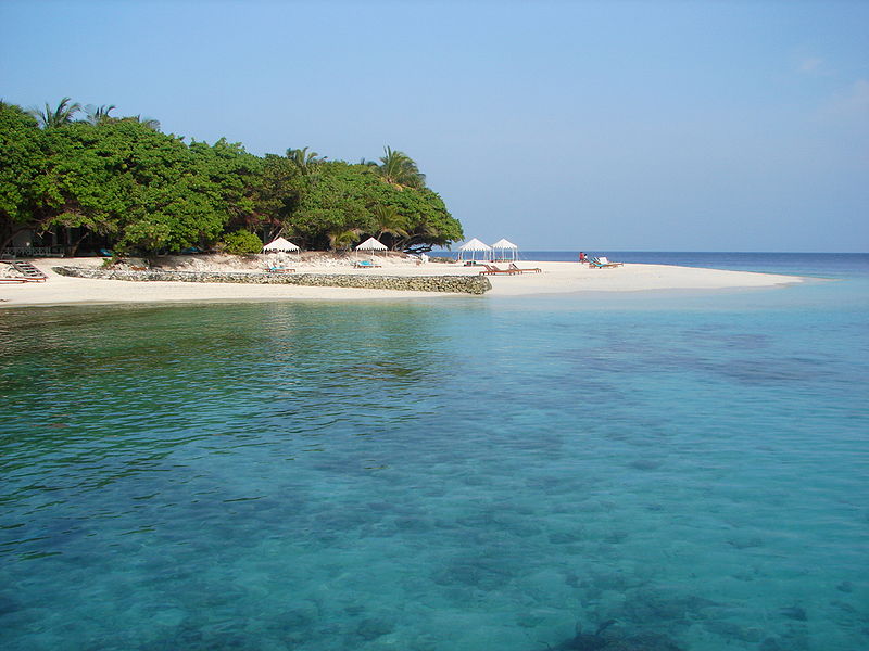 Nevit Dilmen, Maldives 09813, CC BY-SA 3.0 Via Wikimedia Commons