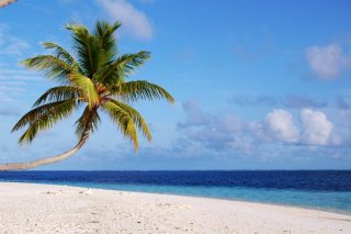 Why the Maldives is the Perfect Honeymoon Destination | The Maldives Travel