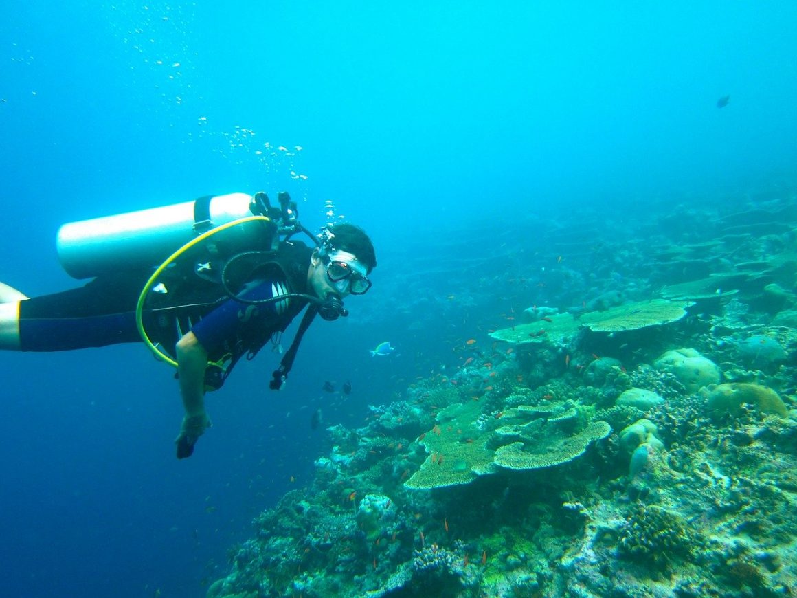 the-best-water-sports-in-maldives-the-maldives-travel