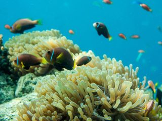 The Little Things That Make a Maldives Vacation Truly Unforgettable