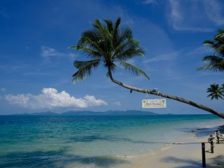 Koh Samui in August: What to Know Before Planning Your Tropical Escape
